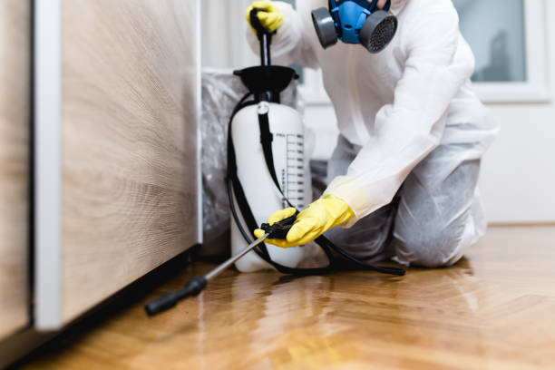 Best Pest Control Near Me  in Brickerville, PA