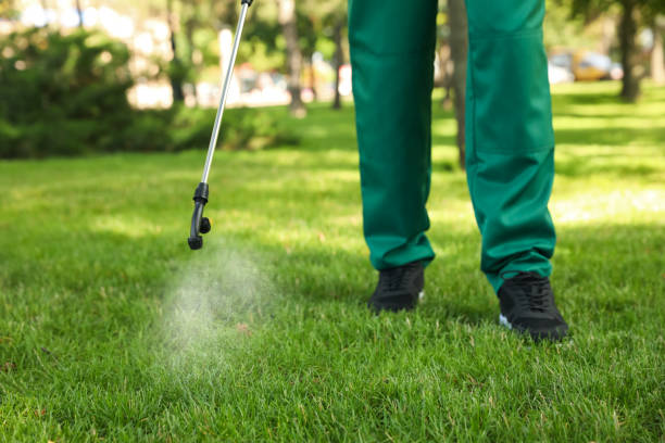 Best Local Pest Control Services  in Brickerville, PA