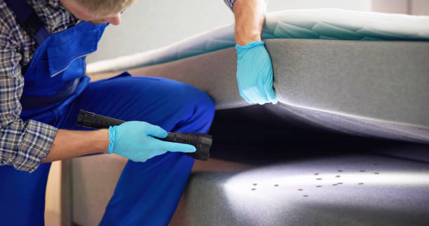 Best Best Pest Control Companies  in Brickerville, PA
