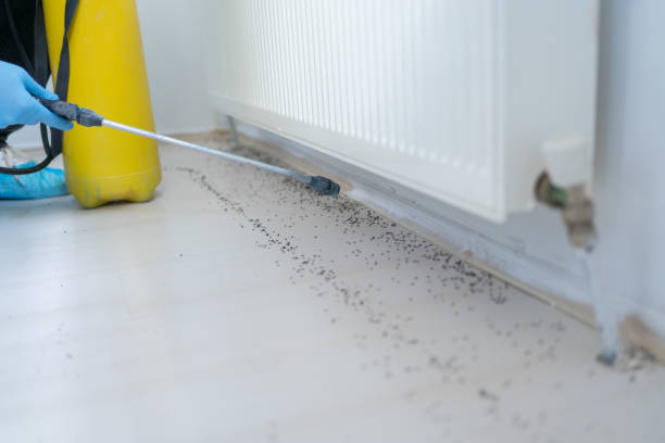 Best Best Pest Control Companies  in Brickerville, PA