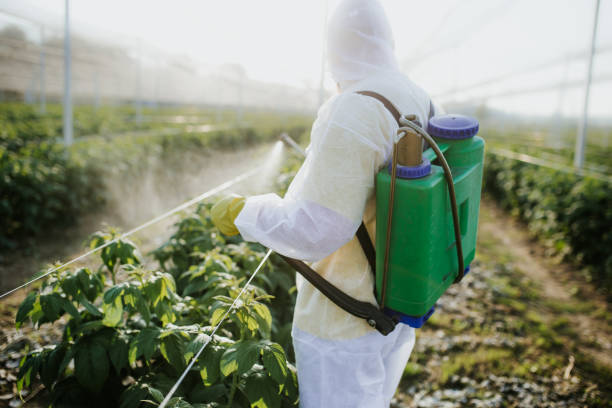 Professional Pest Control in Brickerville, PA